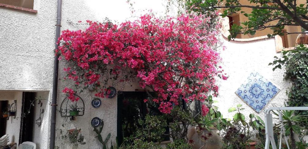 Holiday Home Cala Bianca Castellammare del Golfo Exteriér fotografie